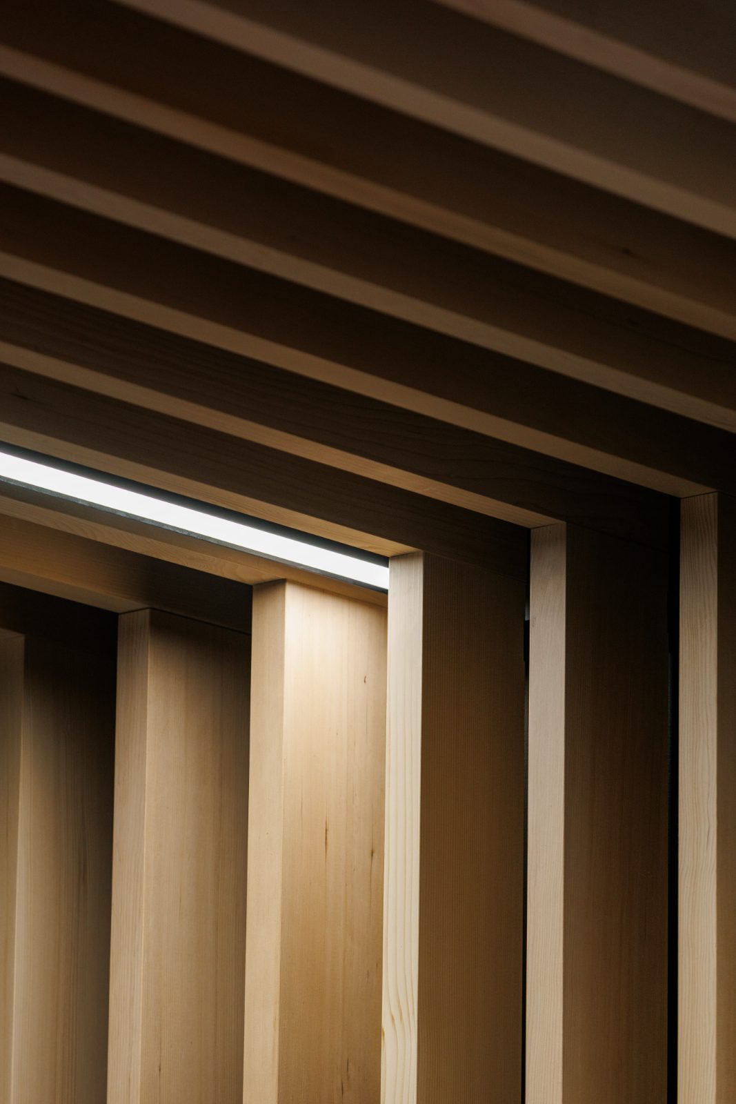 Timber slat ceiling and reveal detail